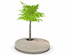 leafy plant stone base