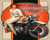 Vintage Harley