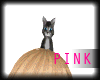 -PiNK- Tiny KiTTy