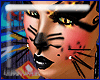 Leopardess Whiskers
