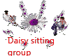 Daisy sitting group