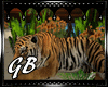 [GB]animated tiger