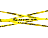 Quarantine Cutout