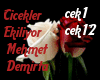 Çiçekler Ekiliyor