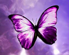 Do.Purple Butterfly