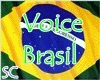 SC Brasil voices