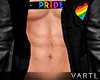 VT | Pride Jacket