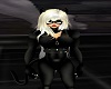 Black Cat  Harness F V1