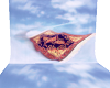 flying carpet backdrop