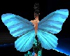 Blue butterfly wings