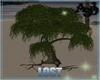 A3D* Tree 4