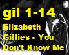 Elizabeth Gillies - You