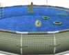 Pool time animated