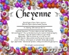 Cheyenne Meaning Frame