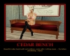 S&S INC Cedar Bench