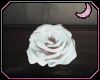 [🌙]White Rose