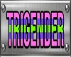 Trigender Pride Collar
