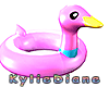 Pink Duck Float 40%