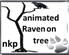 Animated Raven on tree