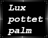 Lux pottet palm