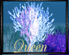 !Q Mermaid Coral Plant