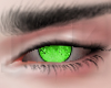 Couple Green Eyes M