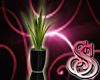 Refl Plant with Vase
