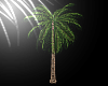 Splash Anim. Palm Tree