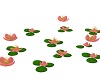 !AS! Animated Lotus