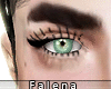 [👁] J2N MakeUp