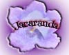 House of Jacaranda