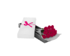 Rose box white v1