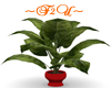 ~F2U~Plant/Red Vase