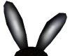 JR BLACK PLAYBUNNY EARS