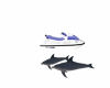 jet ski purple dolphins