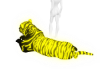 [Mae] Tiger Yellow shiny