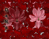 [DaNa]FALLING Roses