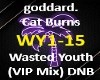 goddard Wasted Youth DNB