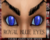 SH Royal Blue Eyes *GOT