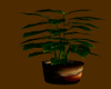 {SL}Broanin Potted Plant