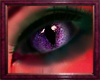 Purple Felin Eyes (F)