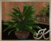EBI* Plant
