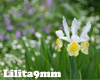 Flower Furni9mm* Nargari