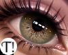 T! Perfect Eyes 4