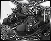 冯 Noctis