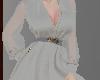 A~ Silver Elegant Dress