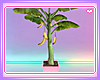 Kawaii Banana Plant