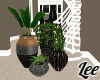 EM~Plants set of 4