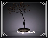 ~MG~ Windsor Tree Plant