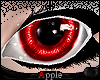 $[A] Shiro Eyes M/F